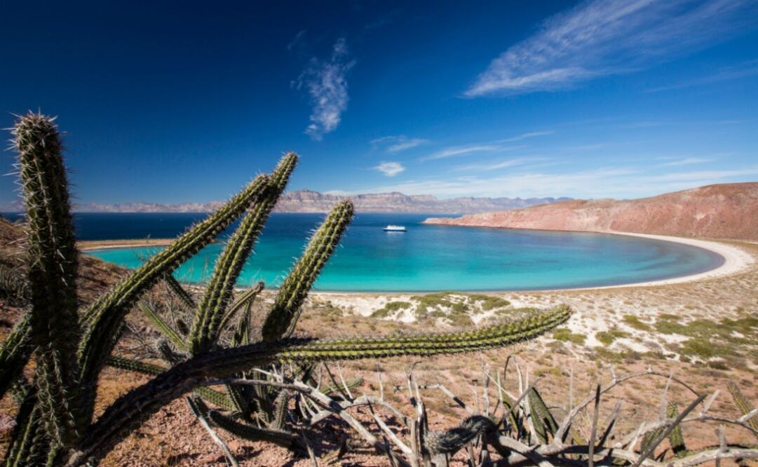 El barco zarpa desde La Paz, Baja California Sur. (Foto: Cortesía Un-Cruise Adventures)