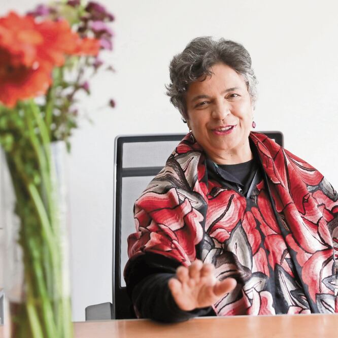 La senadora Beatriz Paredes propone que no sea una facultad exclusiva de los diputados analizar el Plan Nacional de Desarrollo. ARCHIVO EL UNIVERSAL