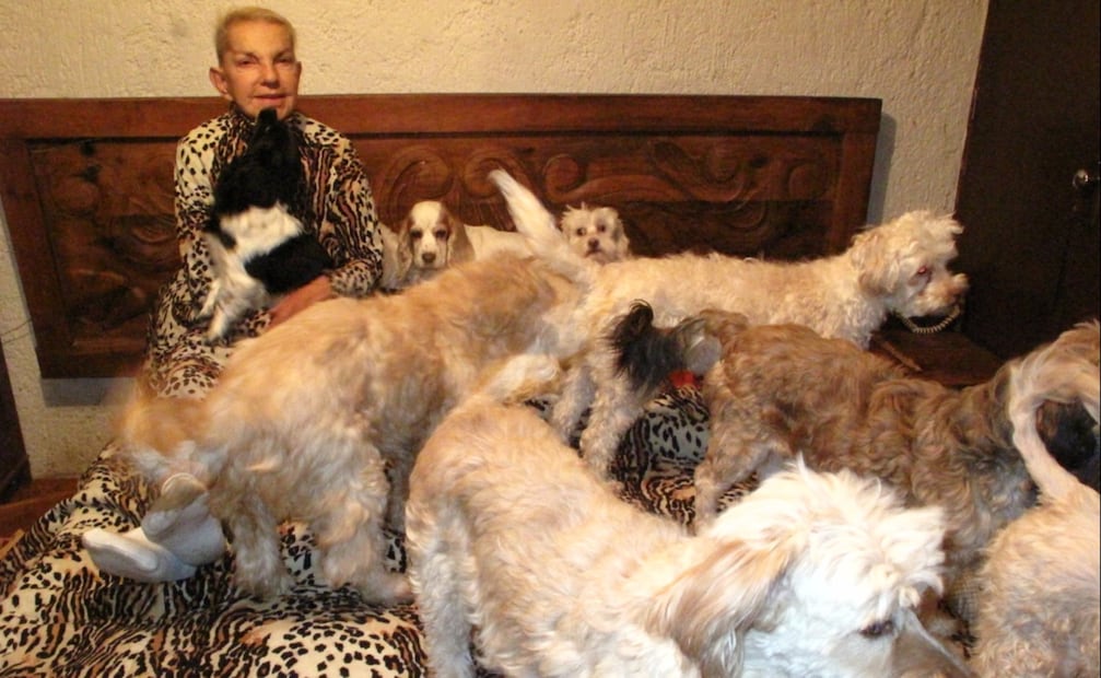 Wanda Seux era una amante de los perritos, llegó a tener 40 a su cuidado; ellos fueron sus compañeros fieles hasta el final.
