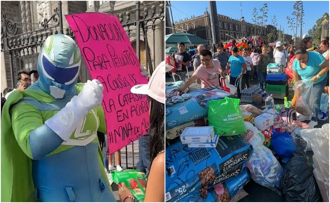 Un influencer se encargó de recolectar víveres para los animales afectados tras el Huracán "Otis". Foto: Captura de pantalla de TikTok @zadrigman