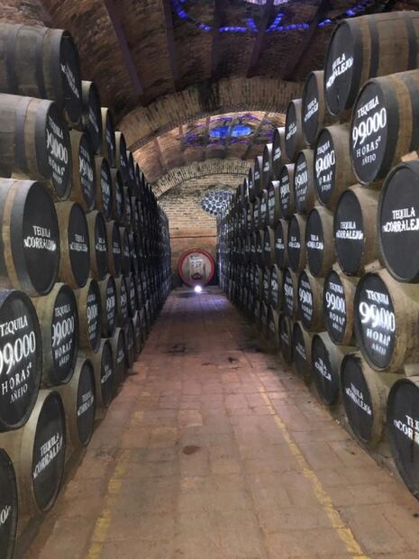 Pénjamo, la tierra del tequila en Guanajuato