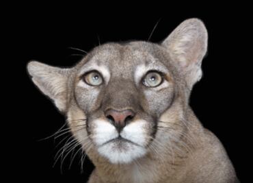 Con muestra fotográfica buscan crear conciencia