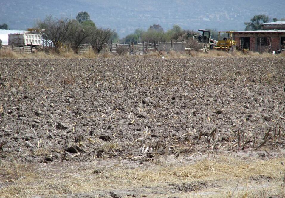 (Foto: Archivo EL UNIVERSAL)