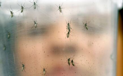 Zika viaja de Colombia a Israel a través de niña 