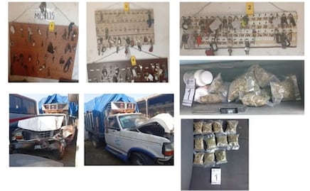 Catean corralón ilegal en Veracruz; aseguran 327 vehículos