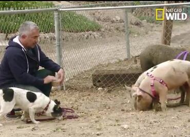 "César Millán fue tonto e irresponsable", insiste mujer que lo acusó