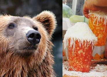 ¿Qué es el "caldo de oso", una botana rara pero rica de México