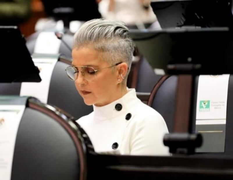 Una popera en San Lázaro: El trabajo como diputada de Federica Quijano, de Kabah, y un polémico voto  