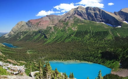 La reducción de animales empeora el resto del ecosistema