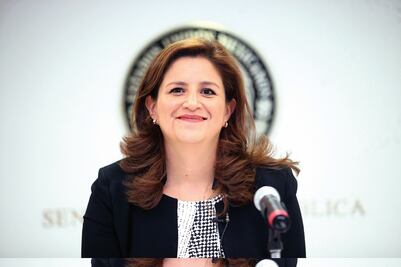 "Hoy la ley no nos contempla": Martha Tagle (Senadora)