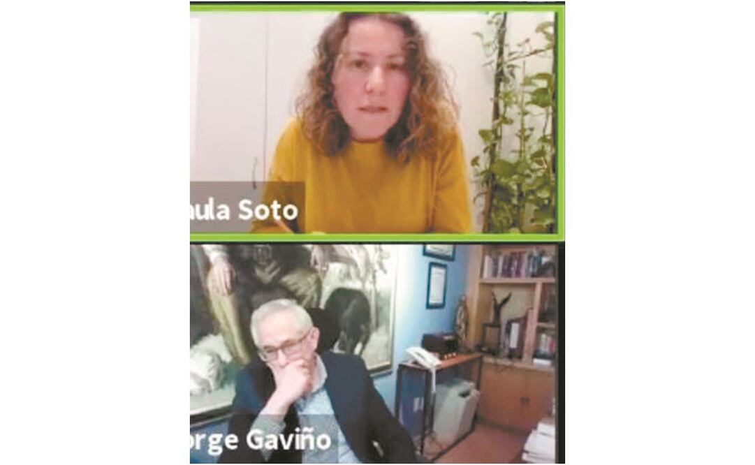 Paula Soto, durante la presentación del dictamen. ESPECIAL