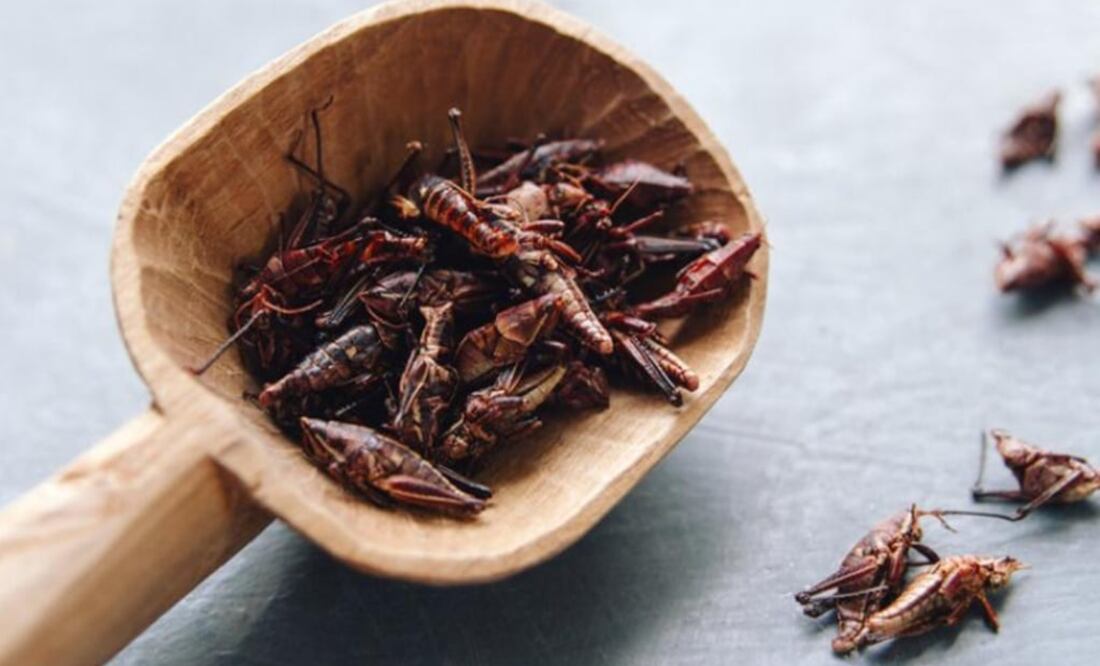 Chapulines are sold everywhere in Oaxaca – Photo: File photo/EL UNIVERSAL