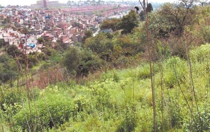 Piden revocar plan de vivienda en Tarango