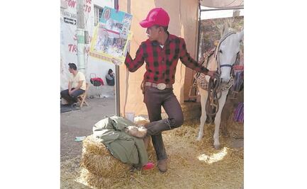 Celebran a la Virgen... maltratando caballos y ponis