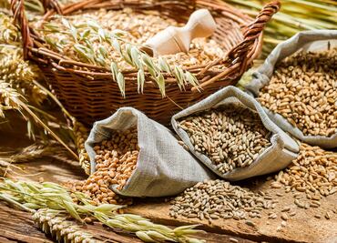 Guerra entre Rusia y Ucrania dispara en 60% precios de los granos