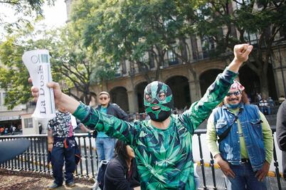 Corte dice sí a marihuana