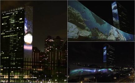 Empire State se iluminará con fotos de animales en riesgo