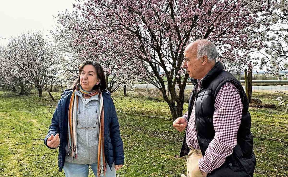 Teresa Arredondo y Paco, cofundadores de La Huella Verde, explican el proceso de transformación biológica de su
finca en Castilla y León, enmarcada de fondo por los almendros, la especie principal de la huerta. Foto: FOTOS: IVÁN CARRILLO