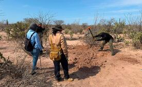 Localizan restos óseos en Comondú, Baja California Sur; urgen muestras de ADN para identificar a 16 personas