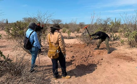 Localizan restos óseos en Comondú, Baja California Sur; urgen muestras de ADN para identificar a 16 personas