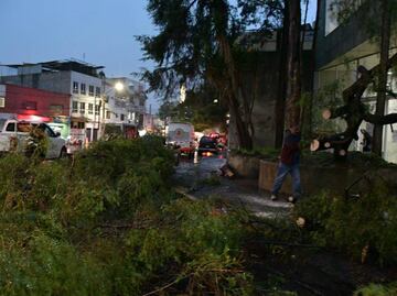 Lluvias del jueves en CDMX dejaron 20 encharcamientos y árboles caídos