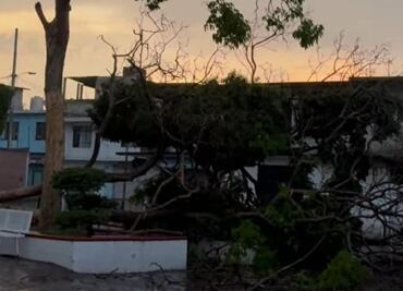 Intensa lluvia provoca caos vial y daños en la zona metropolitana de Morelos; reportan caídas de árboles