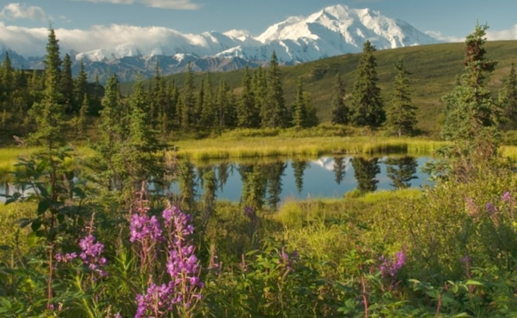 Mitos sobre Alaska que todos hemos creído alguna vez