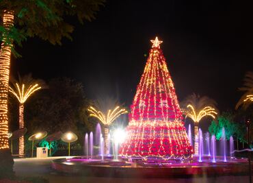 Lánzate a los recorridos navideños de Jardines de México