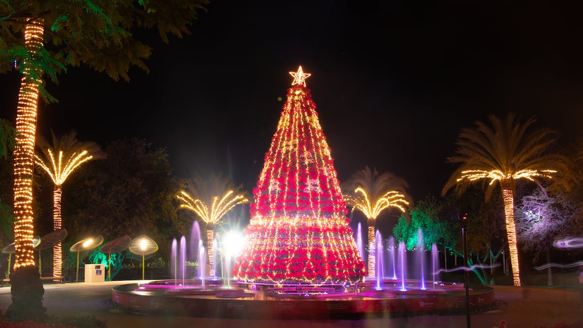 Foto: Jardines de México