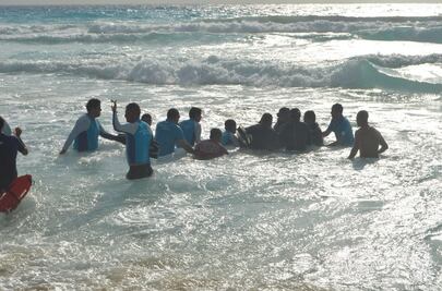 Difiere Profepa sobre rescate de delfines en Cancún 