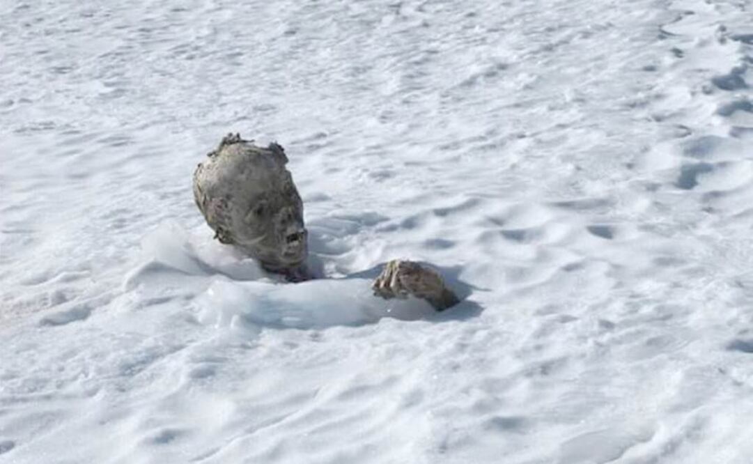 Foto: Cortesía e-consulta