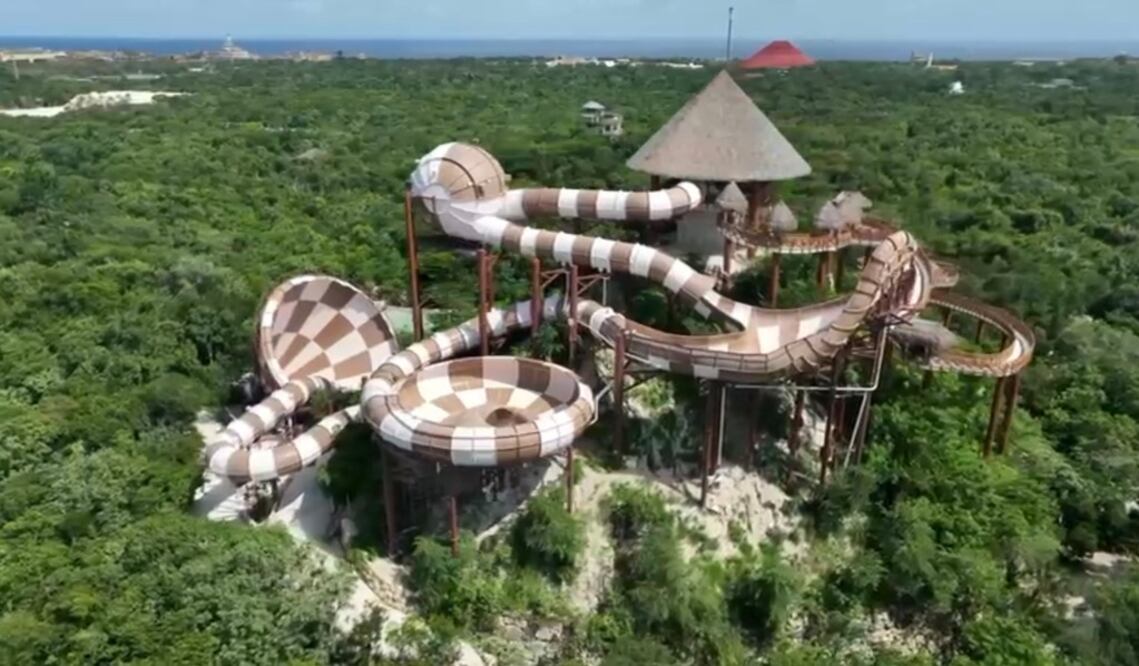 Greenpeace explicó que en el predio del proyecto se encontraron especies de aves sujetas a protección especial. Foto: Grupo Xcaret