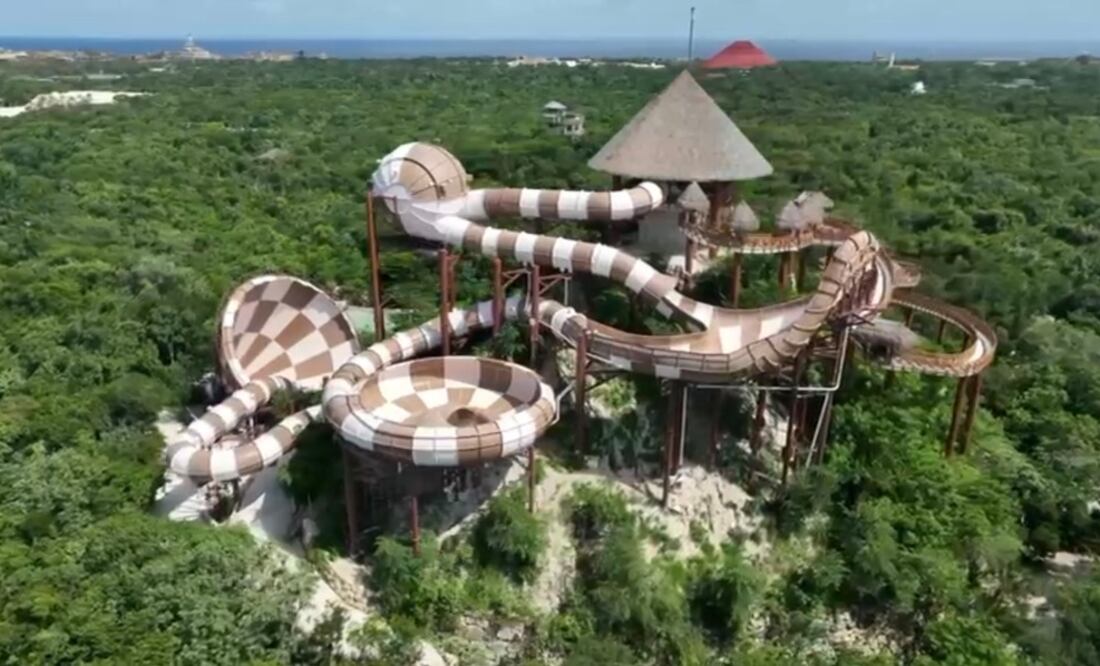 Greenpeace explicó que en el predio del proyecto se encontraron especies de aves sujetas a protección especial. Foto: Grupo Xcaret