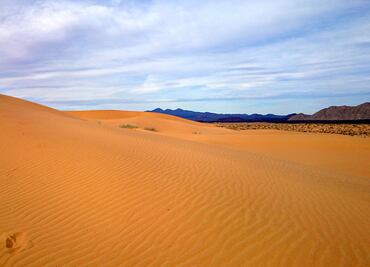 Ya viene el Festival Internacional de Cine en el Desierto