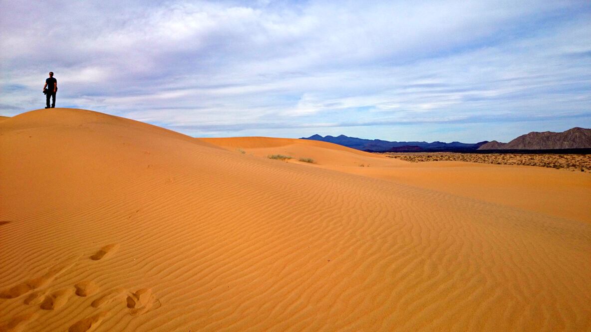 Hay una caminata a la Reserva de la Biósfera El Pinacate y Gran Desierto de Altar. (Foto: Cortesía Turismo Taruk)