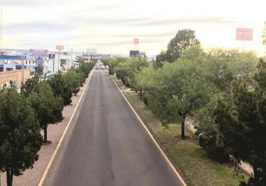 Van con todo, por defensa de “pulmón” de Durango