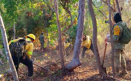Siguen activos 4 incendios en Oaxaca; suman 215 hectáreas afectadas, asegura Conafor