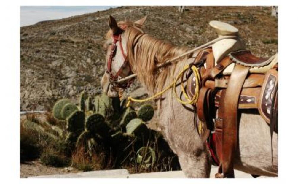 De Yucatán a Durango: pueblos fantasma que tienes que conocer