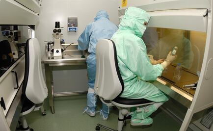 Modo de vida actual: el culpable del cáncer