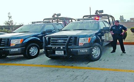 Asegura más de 800 kilos de especies marinas protegidas en Sonora