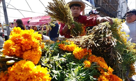 Abren centros de acopio de cempasúchil en Parque Ecológico de Xochimilco y Cultura Ambiental; buscan fomentar el reciclaje