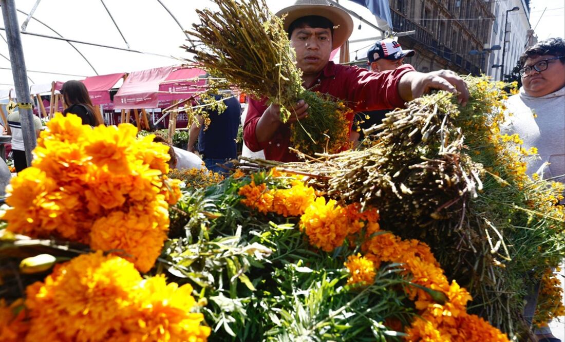 Productores de flor de cempasúchil venden su producto en el Zócalo de la Ciudad de México con precios que van de los 20 a 45 pesos, dependiendo del tamaño y la variedad de la flor, el 27 de octubre d e2025. Foto: Berenice Fregoso/EL UNIVERSAL