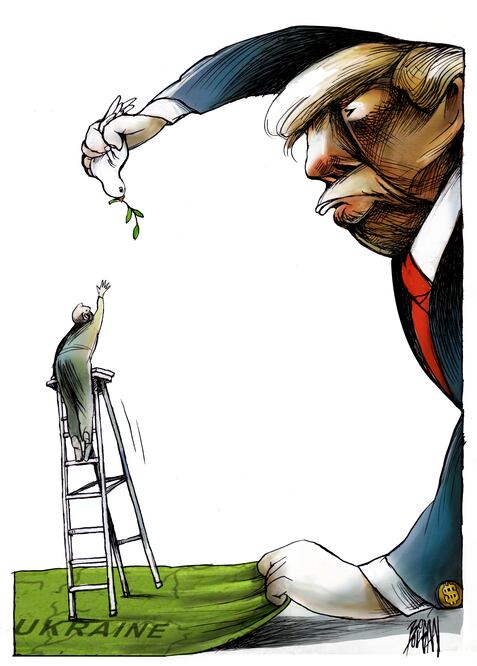 Cartón de BOLIGÁN