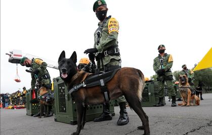 ¿Qué es la FACD del Ejército, que actúa ante desastres naturales?