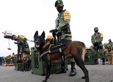 ¿Qué es la FACD del Ejército, que actúa ante desastres naturales?