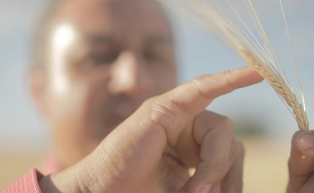 La mayor cervecera será sustentable en todos sus procesos para 2025