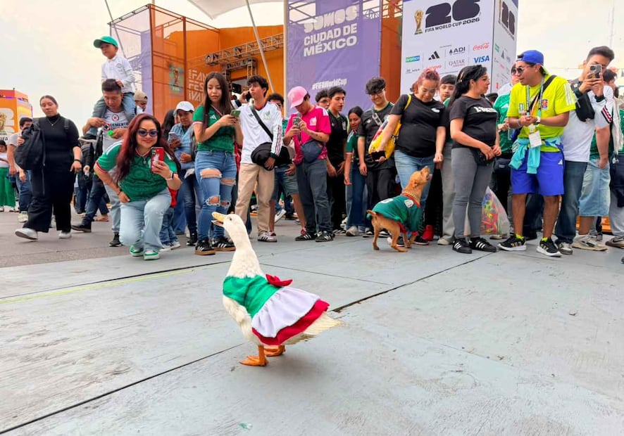 Decenas de personas rodearon a los animalitos para tomarles fotografías y videos. Foto: Arturo Ordaz Díaz / EL UNIVERSAL