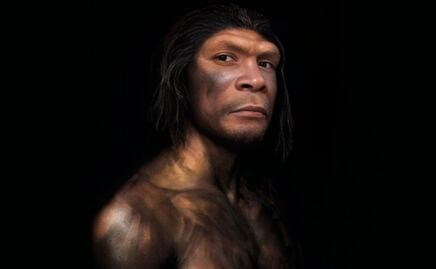 Descubre la particular razón por la que se extinguieron los neandertales, según la ciencia