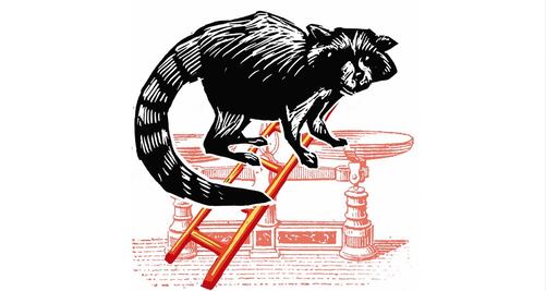 El mapache detrás del “bonillazo”