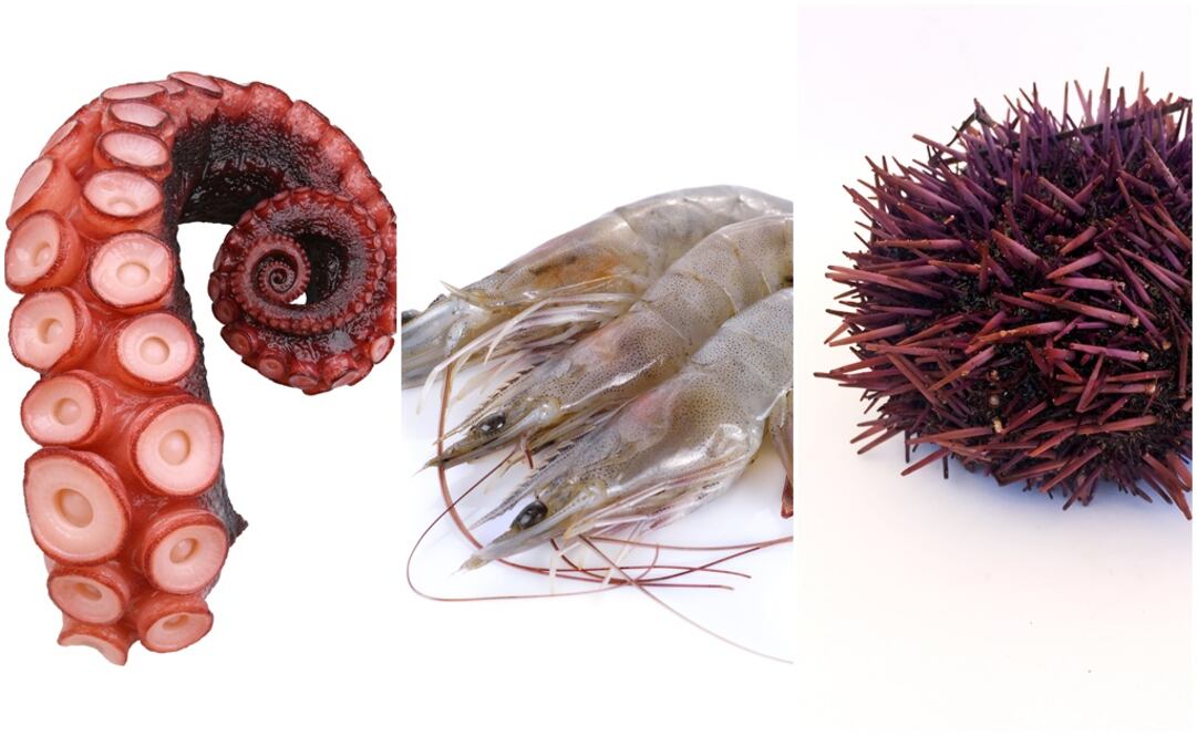 FOTO: iSTOCK / Jason Thomas Fritz